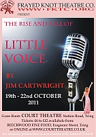Little Voice (2011) (Click to enlarge)